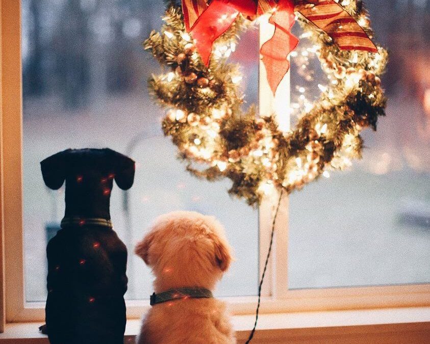 Watch The Livestream of The Santa Claus Parade