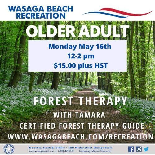 Older Adult Forest Therapy Event – May 16th