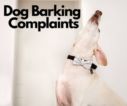 Dog Barking Complaints